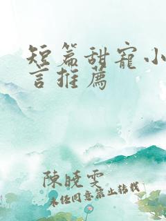 短篇甜宠小说现言推荐