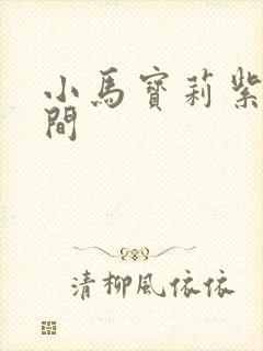 小马宝莉紫悦时间