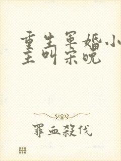 重生军婚小说女主叫宋晚