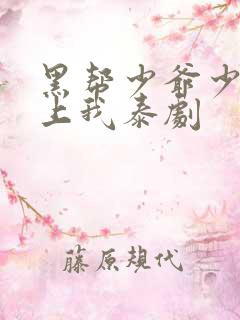 黑帮少爷少爷爱上我泰剧