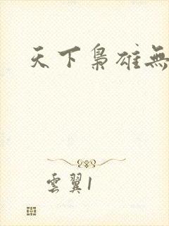 天下枭雄无弹窗