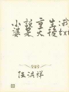 小说重生:我老婆是天后txt免费阅读