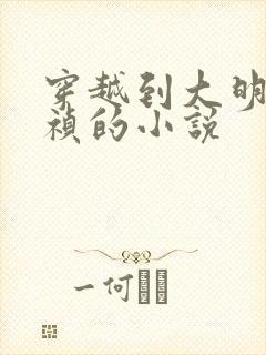 穿越到大明当崇祯的小说