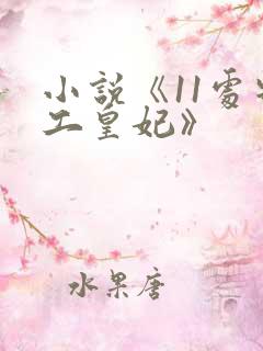 小说《11处特工皇妃》