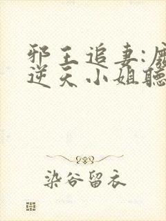 邪王追妻:废材逆天小姐听书