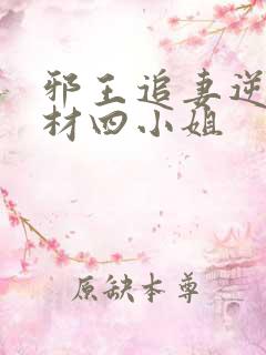 邪王追妻逆天废材四小姐