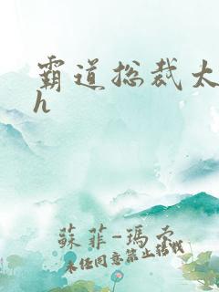 霸道总裁太大了h