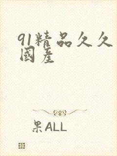 91精品久久久国产