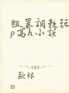 粗暴调教玩弄np高h小说