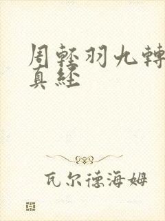 周轻羽九转不灭真经