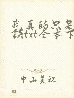 我真的只是想打铁txt全本下载