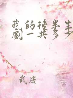 我的后半生电视剧一共多少集