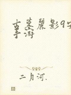 古墓丽影9安卓手游