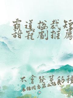 霸道总裁短剧 甜宠剧推荐