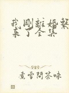 我刚离婚系统就来了全集