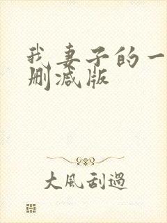 我妻子的一切未删减版