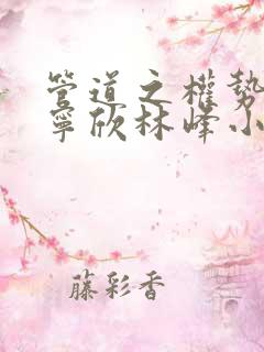 管道之权势滔天宁欣林峰小说免费