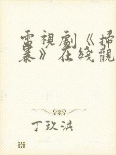 电视剧《扫毒风暴》在线观看高清