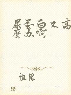 尿蛋白又高了怎么办啊