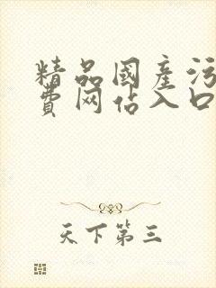 精品国产污污免费网站入口自