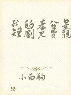 我的老公是总裁短剧免费观看全集