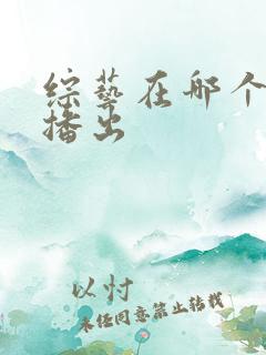 综艺在哪个频道播出