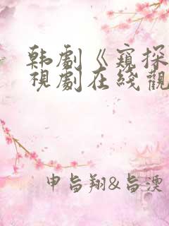 韩剧《窥探》电视剧在线观看