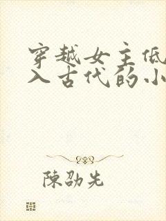 穿越女主低调融入古代的小说