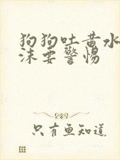 狗狗吐黄水带泡沫要警惕