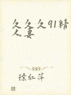 久久久91精品人妻