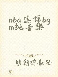 nba集锦bgm纯音乐