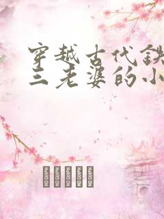 穿越古代铁匠选三老婆的小说