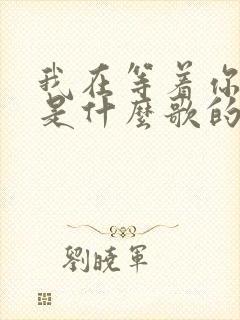 我在等着你回来是什么歌的歌词