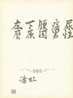 左下腹痛尿血什么原因男性