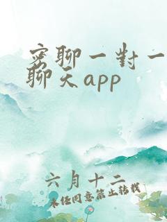 密聊一对一视频聊天app