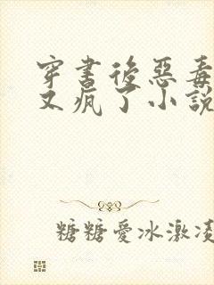 穿书后恶毒女配又疯了小说