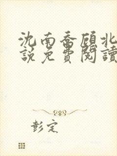 沈南乔顾北辰小说免费阅读