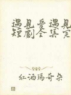 遇见爱遇见幸福短剧全集完整版