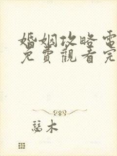 婚姻攻略电视剧免费观看完整版高清