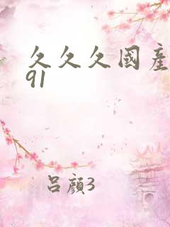 久久久国产精品91