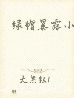 绿帽暴露小说