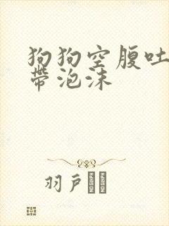 狗狗空腹吐黄水带泡沫