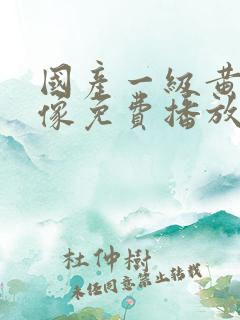 国产一级黄色录像免费播放