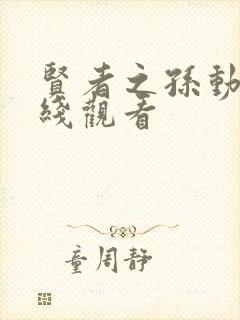 贤者之孙动漫在线观看