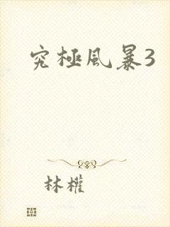 究极风暴3