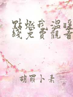 点燃我温暖你在线免费观看完整版