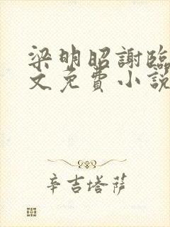 梁明昭谢临风全文免费小说
