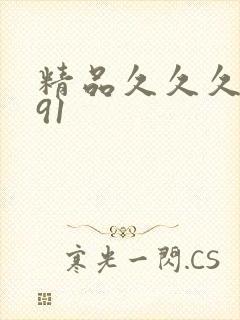 精品久久久久久91