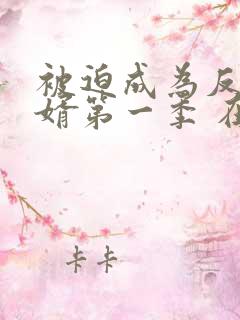 被迫成为反派赘婿第一季 在线播放