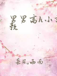 男男高h小说调教